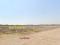 Terreno en Venta 7 has J.L.Ortiz +51 937061387Chiclayo